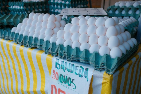 Les secrets d'un infuseur à thé parfait pour votre dégustation